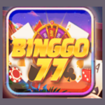 binggo 77